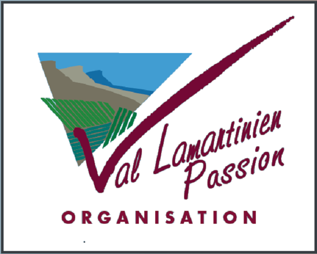 Logo VLP